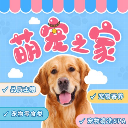 河西萌宠之家小程序开发