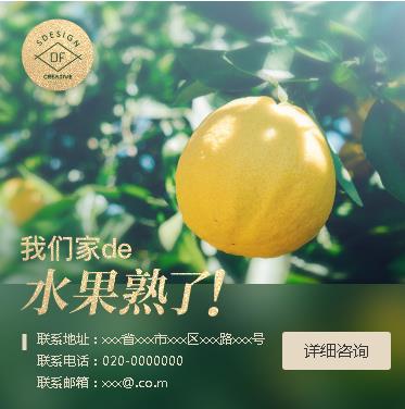 河西果园果林小程序开发